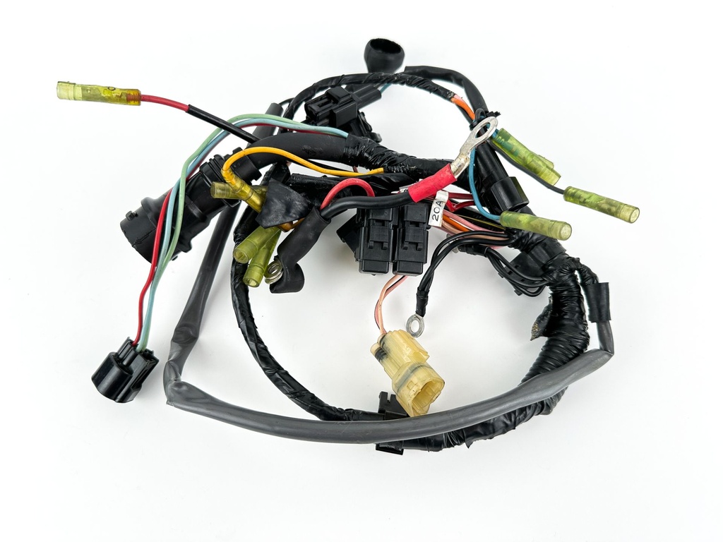 2001 Yamaha 80 HP 4 Stroke Outboard Engine Wire Harness 67F-82590-01-00 OEM