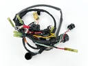 2001 Yamaha 80 HP 4 Stroke Outboard Engine Wire Harness 67F-82590-01-00 OEM