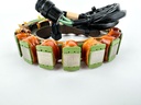 2005 Yamaha 200 HP 2 Stroke Outboard Stator W/ Pulser Coil 65L-85510-00-00 OEM