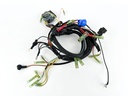 2005 Yamaha 25 HP 4 Stroke Outboard Engine Wire Harness 65W-82590-30-00 OEM