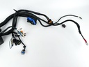 2021 Mercury 150 HP 4 Stroke Outboard Engine Wire Harness 8M0057696 OEM
