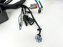 2021 Mercury 150 HP 4 Stroke Outboard Engine Wire Harness 8M0057696 OEM