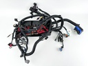2021 Mercury 150 HP 4 Stroke Outboard Engine Wire Harness 8M0057696 OEM