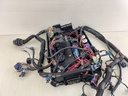 Mercury 135 150 175 HP L4 Verado Engine Wire Harness 892579T12