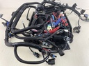 Mercury 135 150 175 200 HP L4 Verado Engine Wire Harness 892579A06