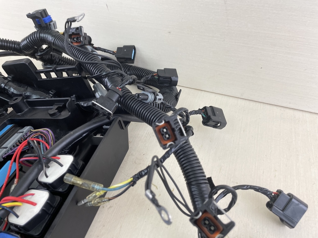 Mercury 135 150 175 200 HP L4 Verado Engine Wire Harness 892579A06