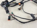 96-2006 Johnson Evinrude 90 115 HP Outboard Engine Wire Harness 0584762