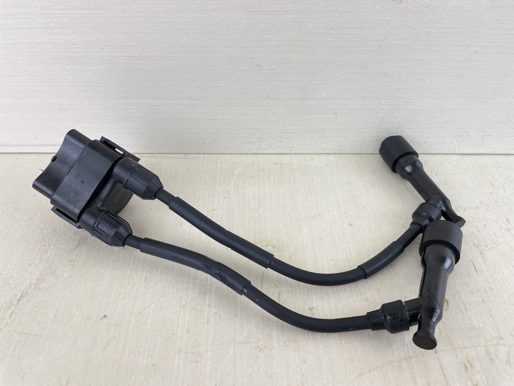 2001+ Honda 8 9.9HP 4 Stroke Outboard Ignition Coil 30500-ZW9-003