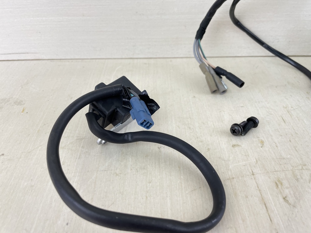 2001 Honda 8HP Outboard Stator Assembly With Flywheel & Charge Coils