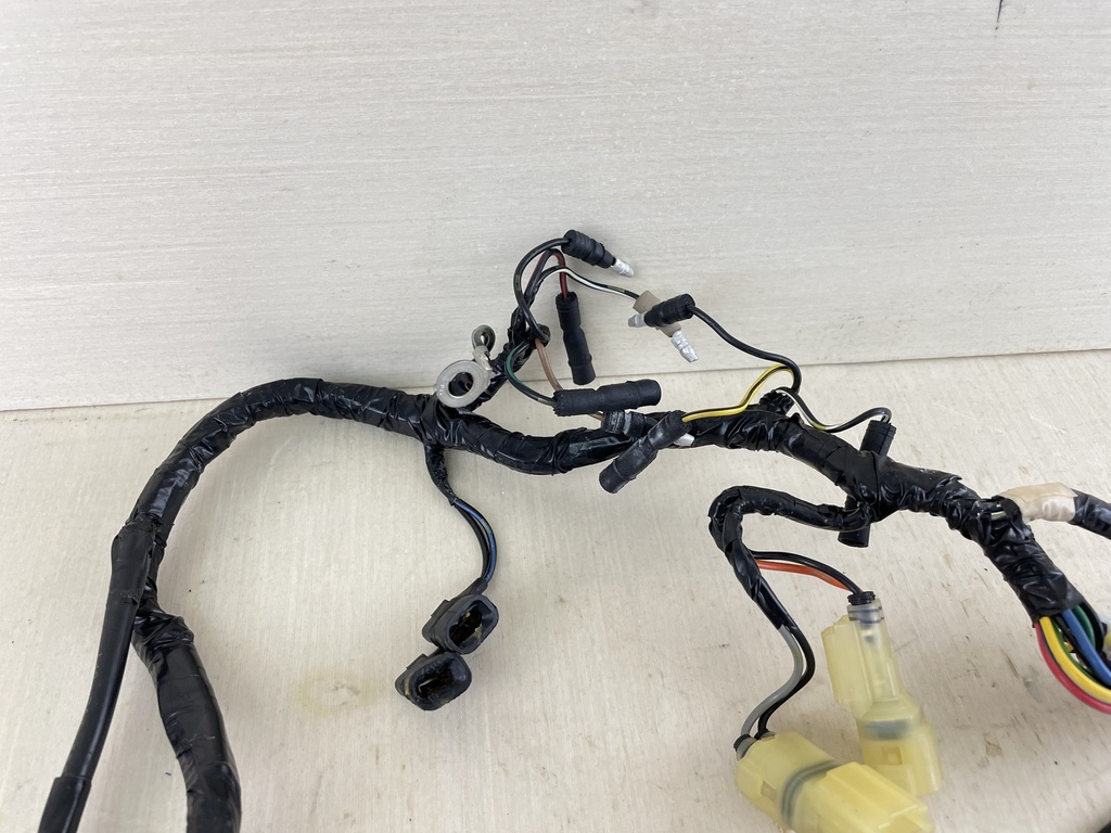 2001 Honda 8HP 4 Stroke Outboard Engine Wire Harness Assembly 32100-ZW9-000