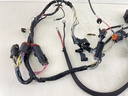 96-2006 Johnson Evinrude 150 175 HP Outboard Engine Wire Harness 0586028