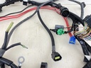 2004 Yamaha 150HP 4 Stroke Outboard Engine Wire Harness 63P-82590-10-00
