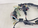 2001 Yamaha 100HP 4 Stroke Outboard Engine Wire Harness 67F-82590-01-00