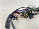 2001 Yamaha 100HP 4 Stroke Outboard Engine Wire Harness 67F-82590-01-00