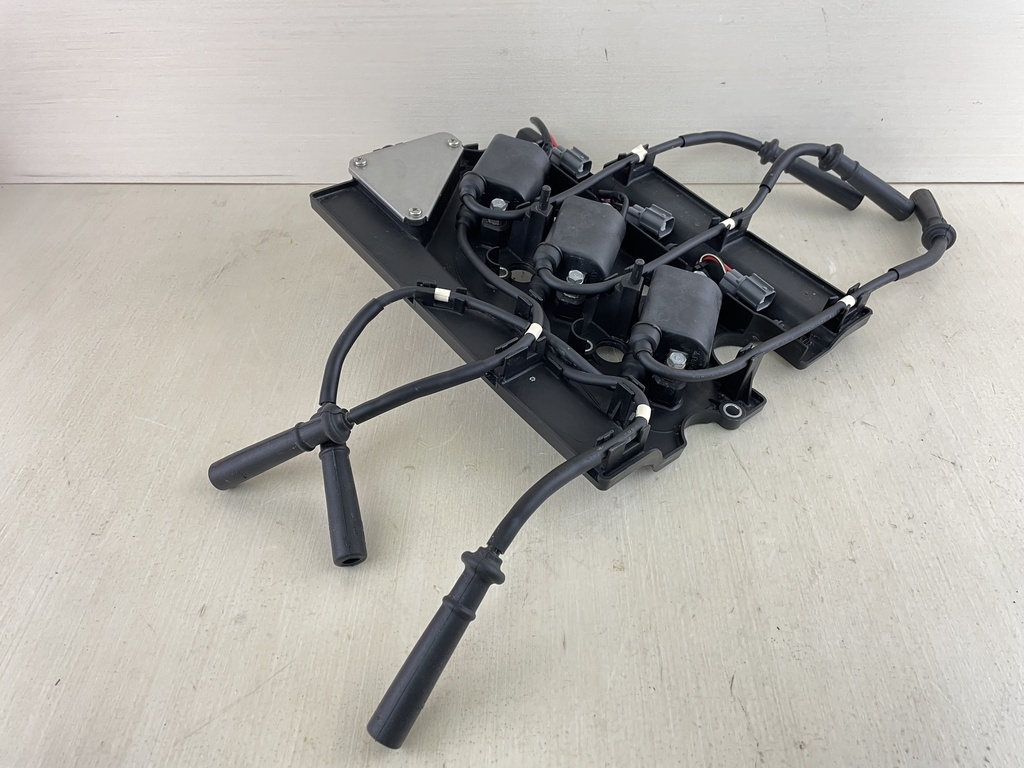 2002-2009 Yamaha 200 225HP 4 Stroke Outboard Ignition Coil Set W/ Bracket 69J-82310-00-00