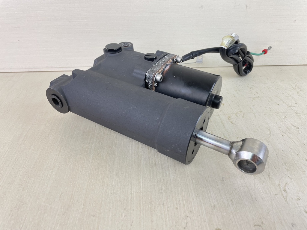 2004 + Evinrude Etec 40 50 60 HP Outboard Power Trim Tilt Unit 5009035