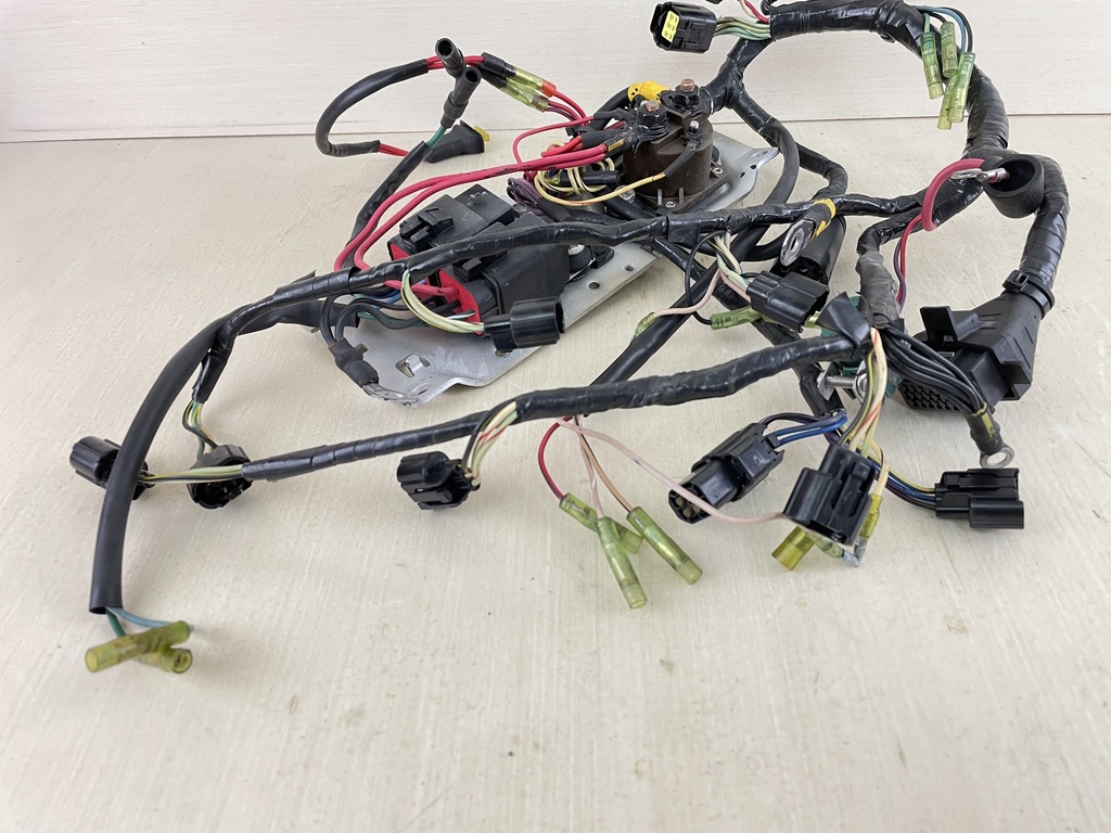 Mercury 225HP 2 Stroke Outboard 3.0L Engine Wire Harness 825433A7