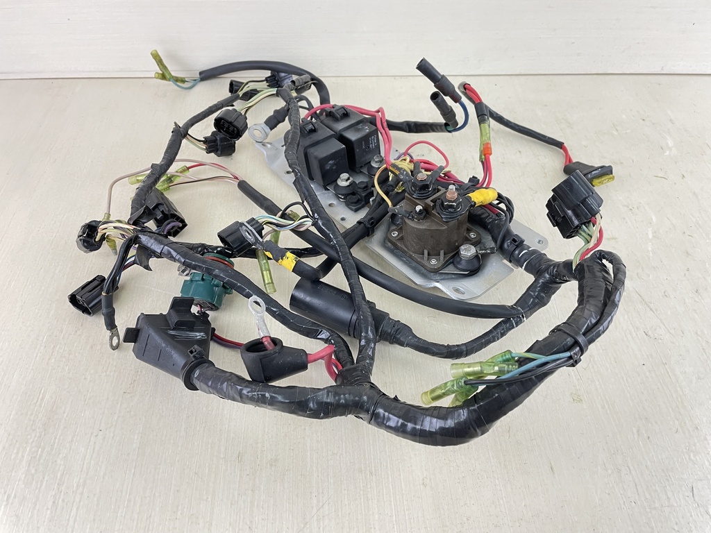 Mercury 225HP 2 Stroke Outboard 3.0L Engine Wire Harness 825433A7