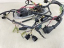 Mercury 225HP 2 Stroke Outboard 3.0L Engine Wire Harness 825433A7