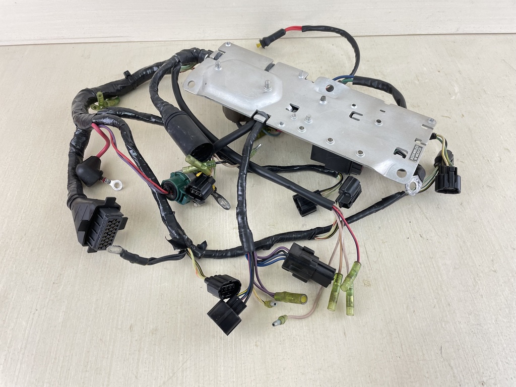 Mercury 225HP 2 Stroke Outboard 3.0L Engine Wire Harness 825433A7