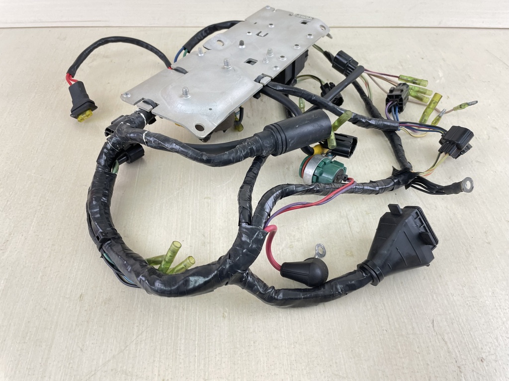 Mercury 225HP 2 Stroke Outboard 3.0L Engine Wire Harness 825433A7