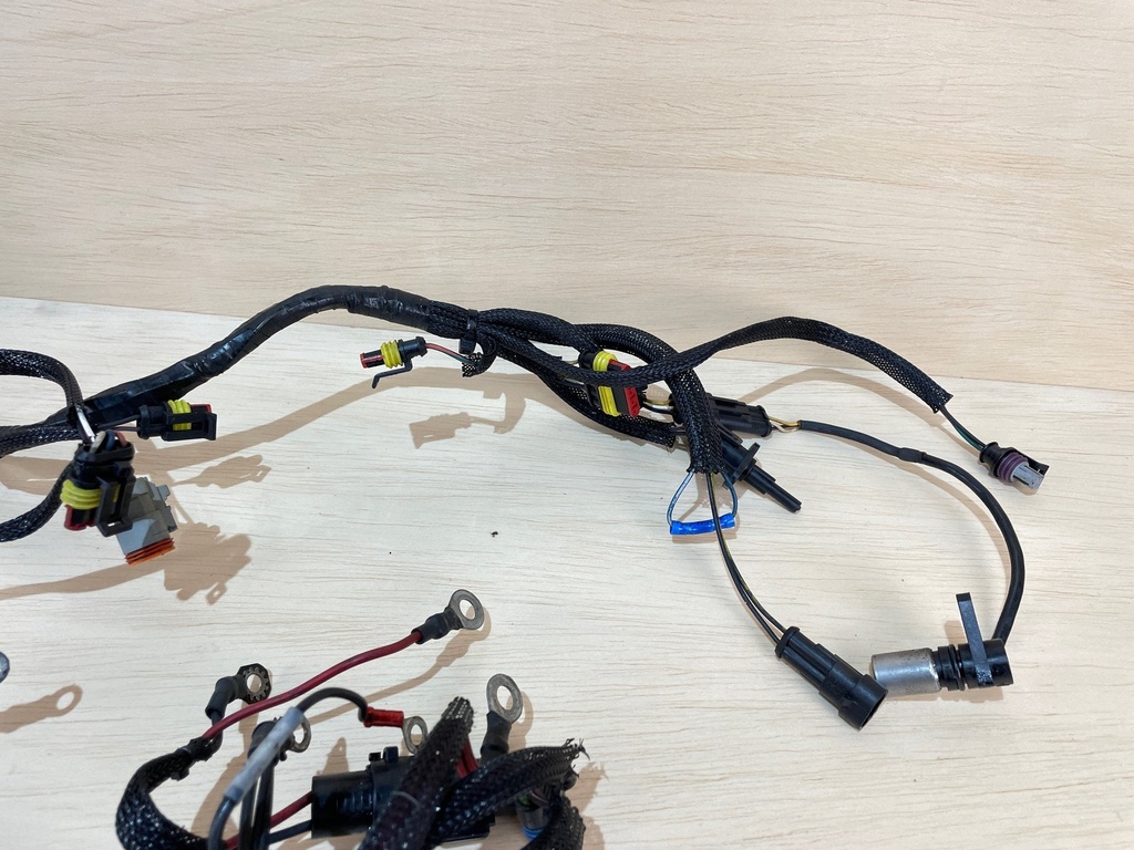 Evinrude Etec 225HP 2 Stroke Engine Electrical Harness Assembly