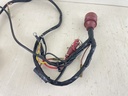 1989 Evinrude Johnson 88HP Outboard Engine Wire Harness 0584004