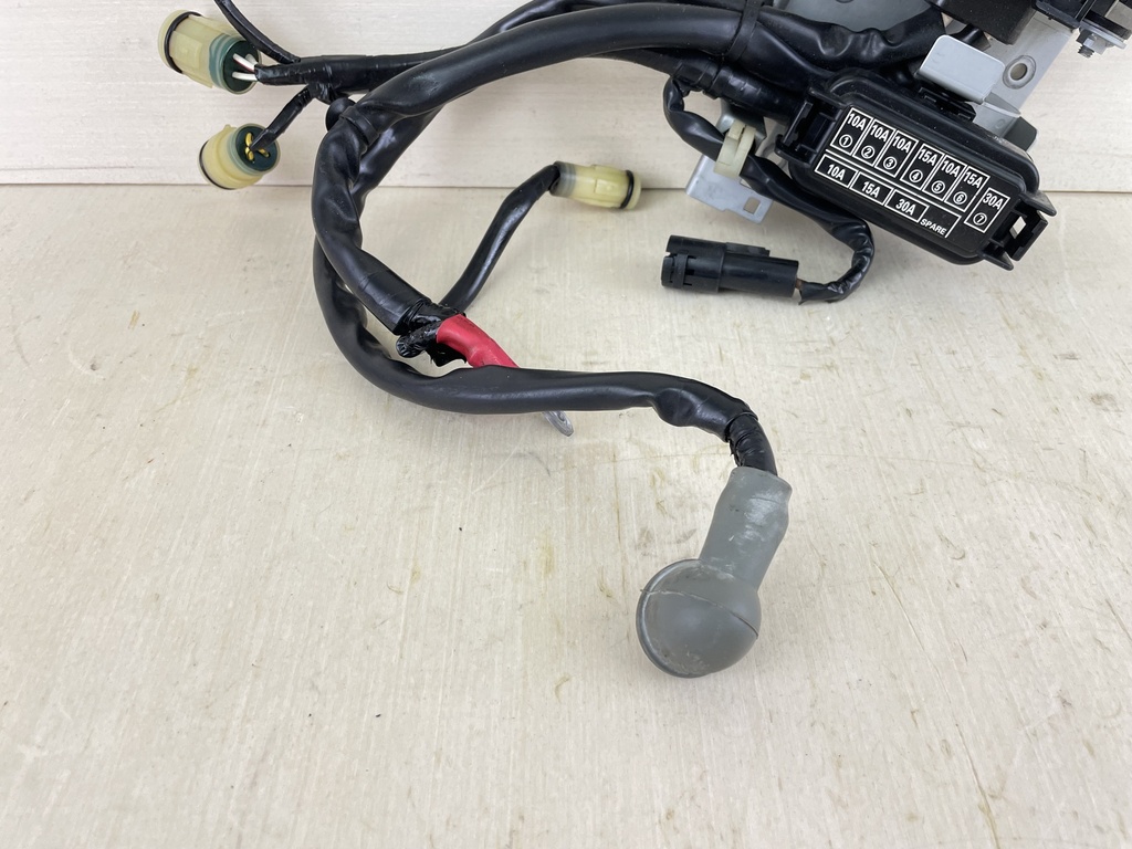 06 + Honda BF 200 225 HP Outboard Main Fuse Cable Assembly 32415-ZY3-A00