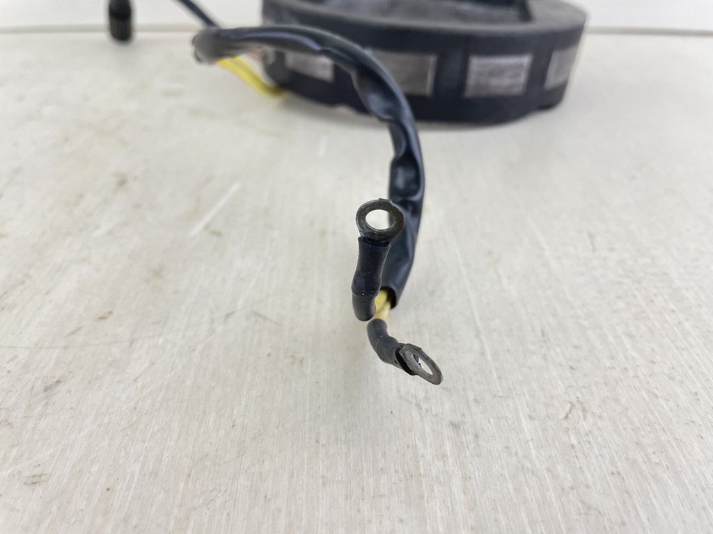 Evinrude Johnson BRP 2 Stroke Outboard Stator 3/9 Amp 583536 0583536