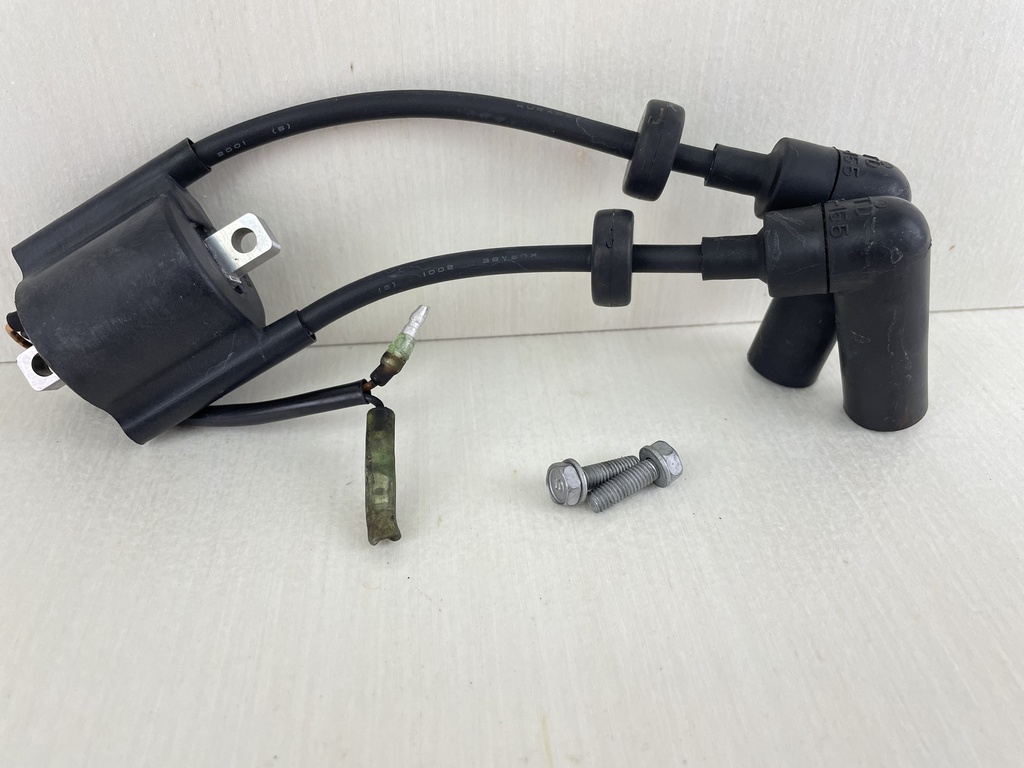 Yamaha 9.9 15 HP 4 Stroke Outboard Ignition Coil Assembly 66M-85570-00-00