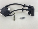 Yamaha 9.9 15 HP 4 Stroke Outboard Ignition Coil Assembly 66M-85570-00-00