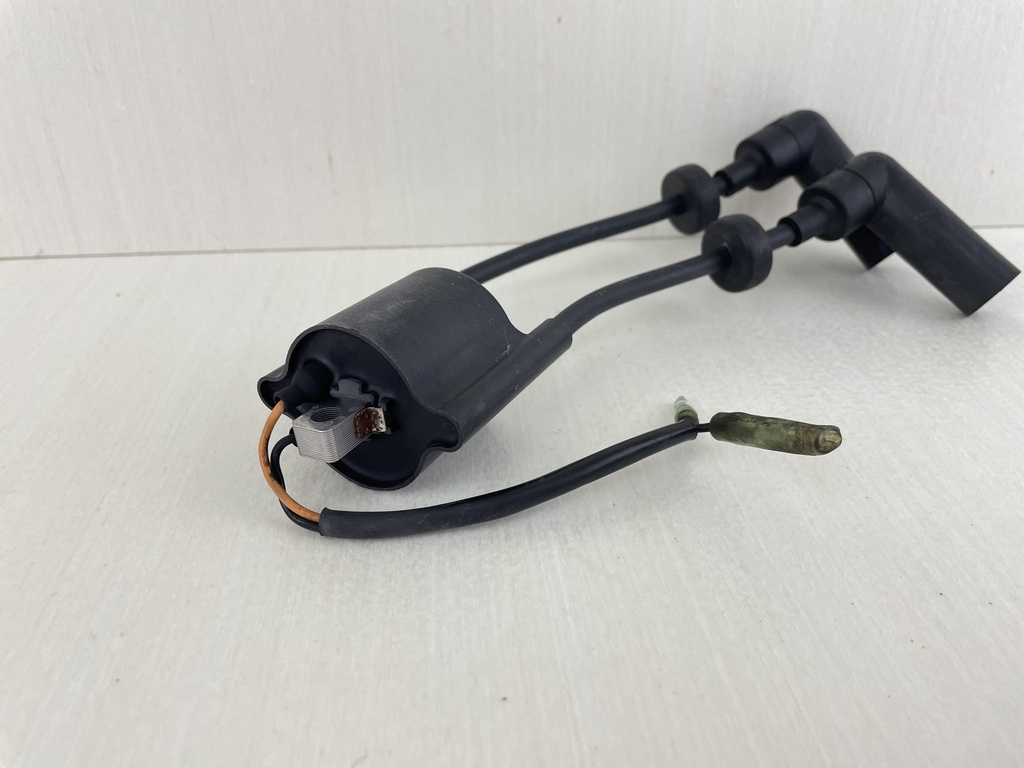 Yamaha 9.9 15 HP 4 Stroke Outboard Ignition Coil Assembly 66M-85570-00-00