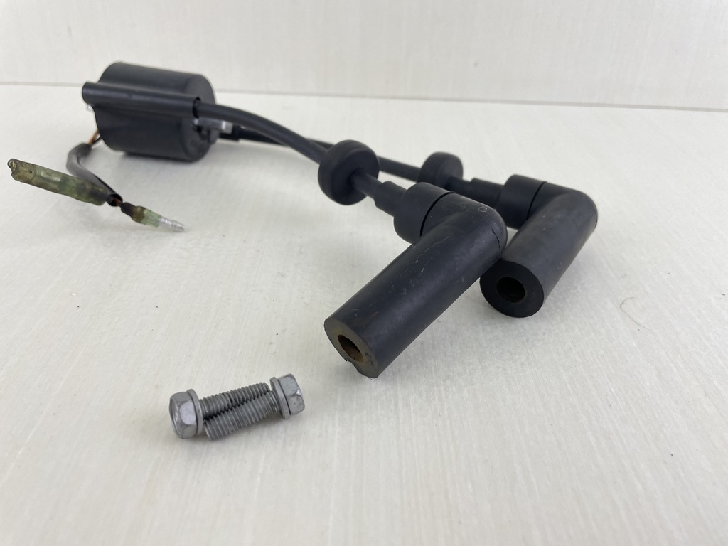 Yamaha 9.9 15 HP 4 Stroke Outboard Ignition Coil Assembly 66M-85570-00-00