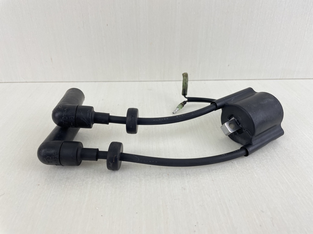 Yamaha 9.9 15 HP 4 Stroke Outboard Ignition Coil Assembly 66M-85570-00-00