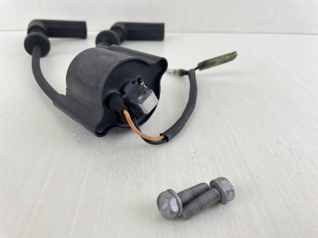 Yamaha 9.9 15 HP 4 Stroke Outboard Ignition Coil Assembly 66M-85570-00-00