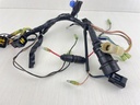 02-2003 Yamaha 50HP 4 Stroke Outboard Engine Wire Harness 64J-82590-30-00