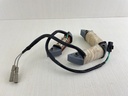 2004+ Honda 30HP 4 Stroke Outboard Charge Power Coil Assembly 30595-ZW2-F01