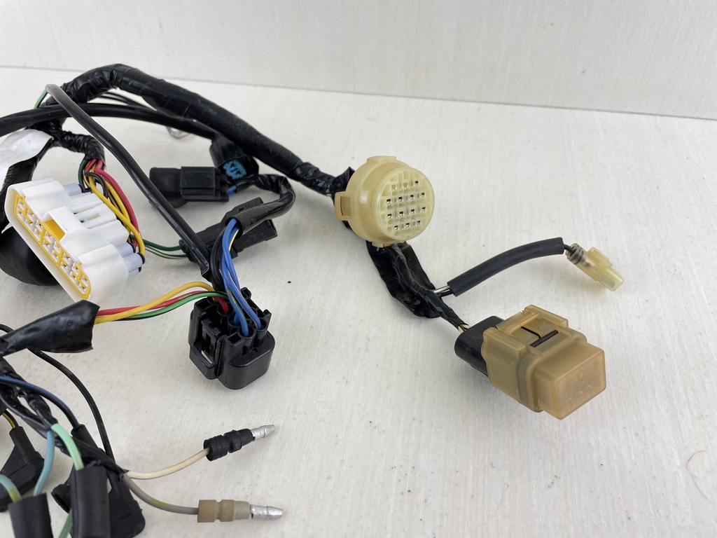 2004 Honda 30HP 4 Stroke Outboard Engine Wire Harness 32520-ZW2-F10