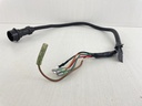 2004 Yamaha 9.9HP 4 Stroke Outboard Wire Harness 6G8-82590-00-00