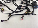 2004-06 Evinrude 75 90 HP 2 Stroke Etec Engine Harness 0586764