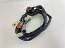 Honda  Key Switch Panel Harness 36170-ZW7-110AH