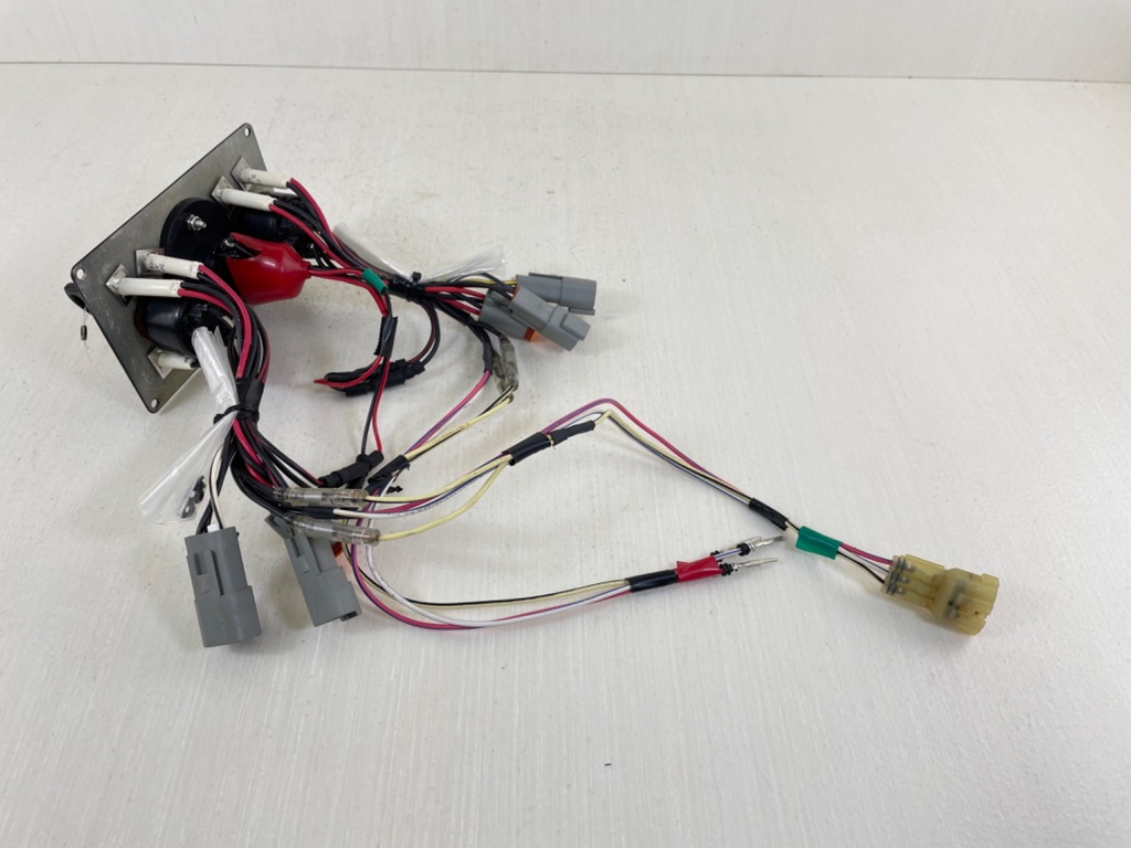 Honda Outboard Twin Engine Key Switch