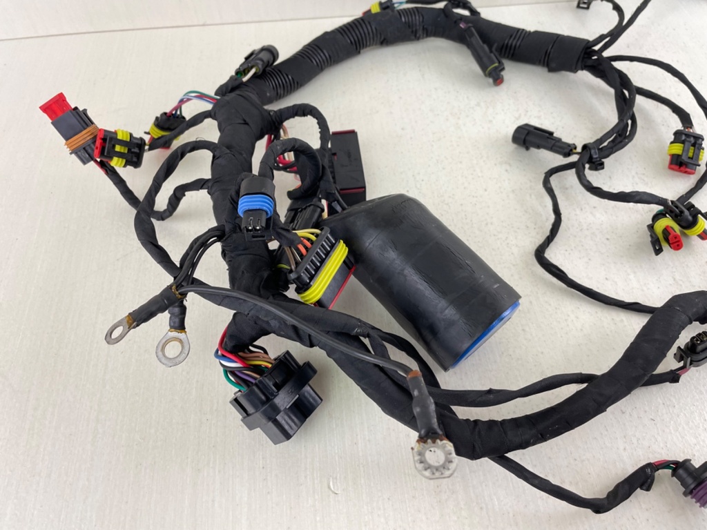 Evinrude 40 50 60 HP Etec AG Outboard Engine Wire Harness 0587286