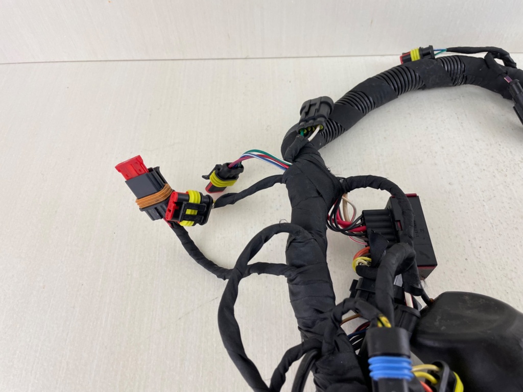 Evinrude 40 50 60 HP Etec AG Outboard Engine Wire Harness 0587286