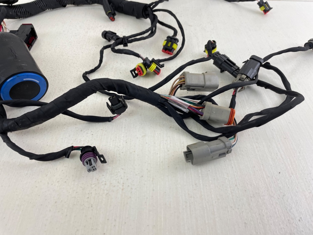 Evinrude 40 50 60 HP Etec AG Outboard Engine Wire Harness 0587286