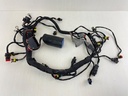 Evinrude 40 50 60 HP Etec AG Outboard Engine Wire Harness 0587286