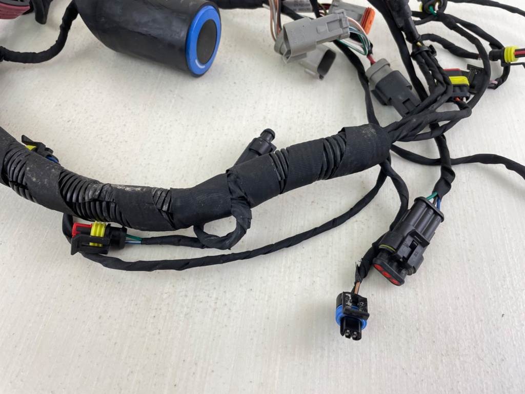 Evinrude 40 50 60 HP Etec AG Outboard Engine Wire Harness 0587286