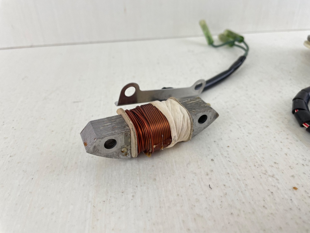 1999-2002 Yamaha 25 30 HP 2 Stroke Outboard Stator Coil Assembly 6H4-85510-F1-00