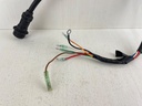 1997 Yamaha 9.9 HP 4 Stroke Outboard Engine Wire Harness 6G8-82580-00-00