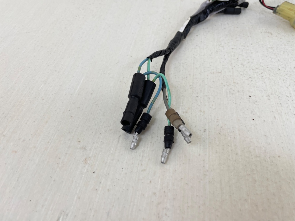 2003 Honda BF 40 50 HP 4 Stroke Outboard Engine Wire Harness 32520-ZV5-821